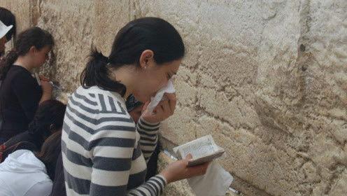 娱乐圈吃瓜猪头是谁,揭秘神秘人物背后的故事