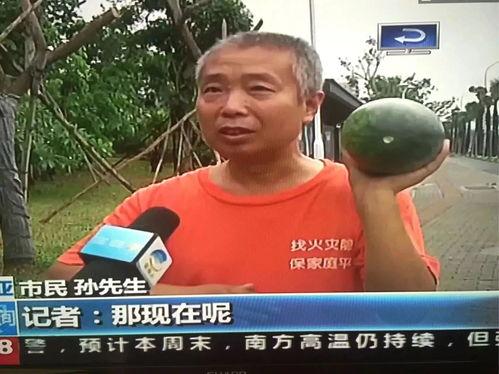 网络吃瓜事件,揭秘网络舆论的狂欢与反思